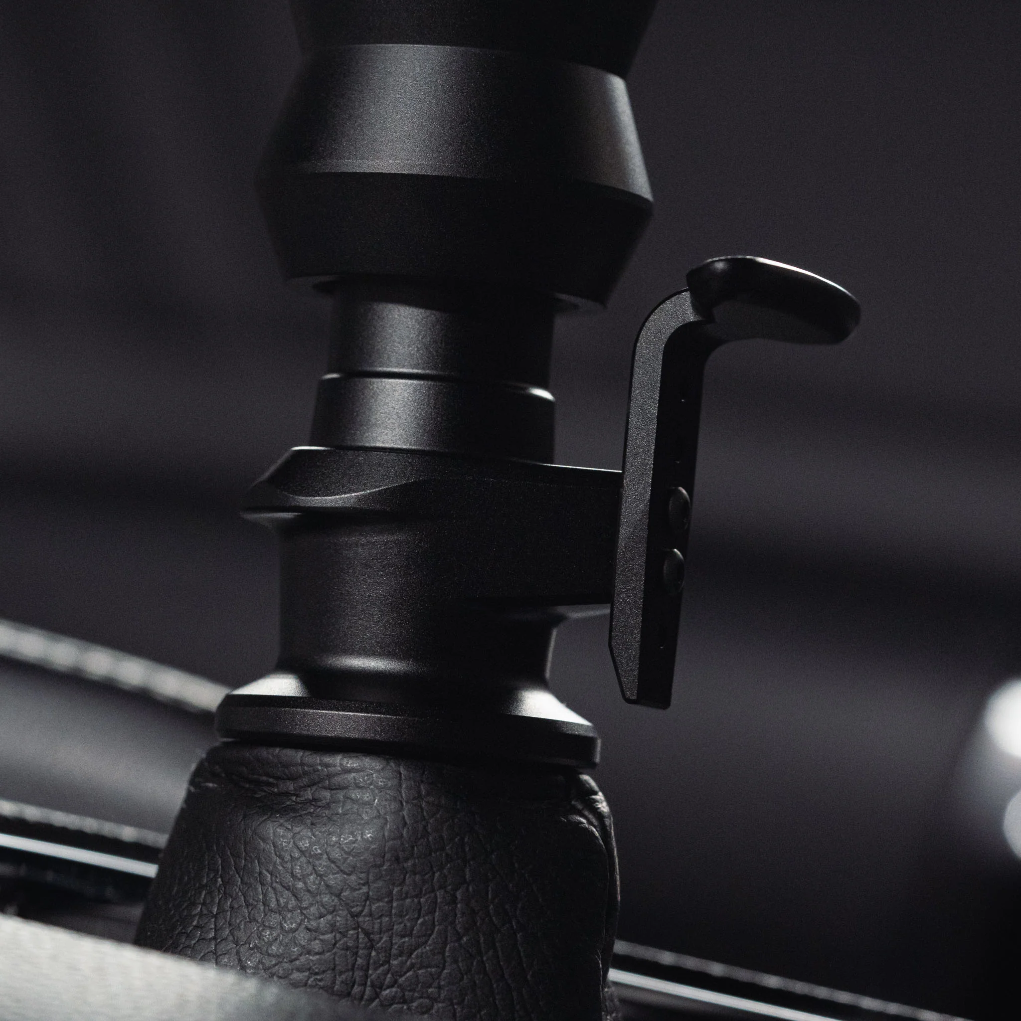 RLX Mustang - Image 3