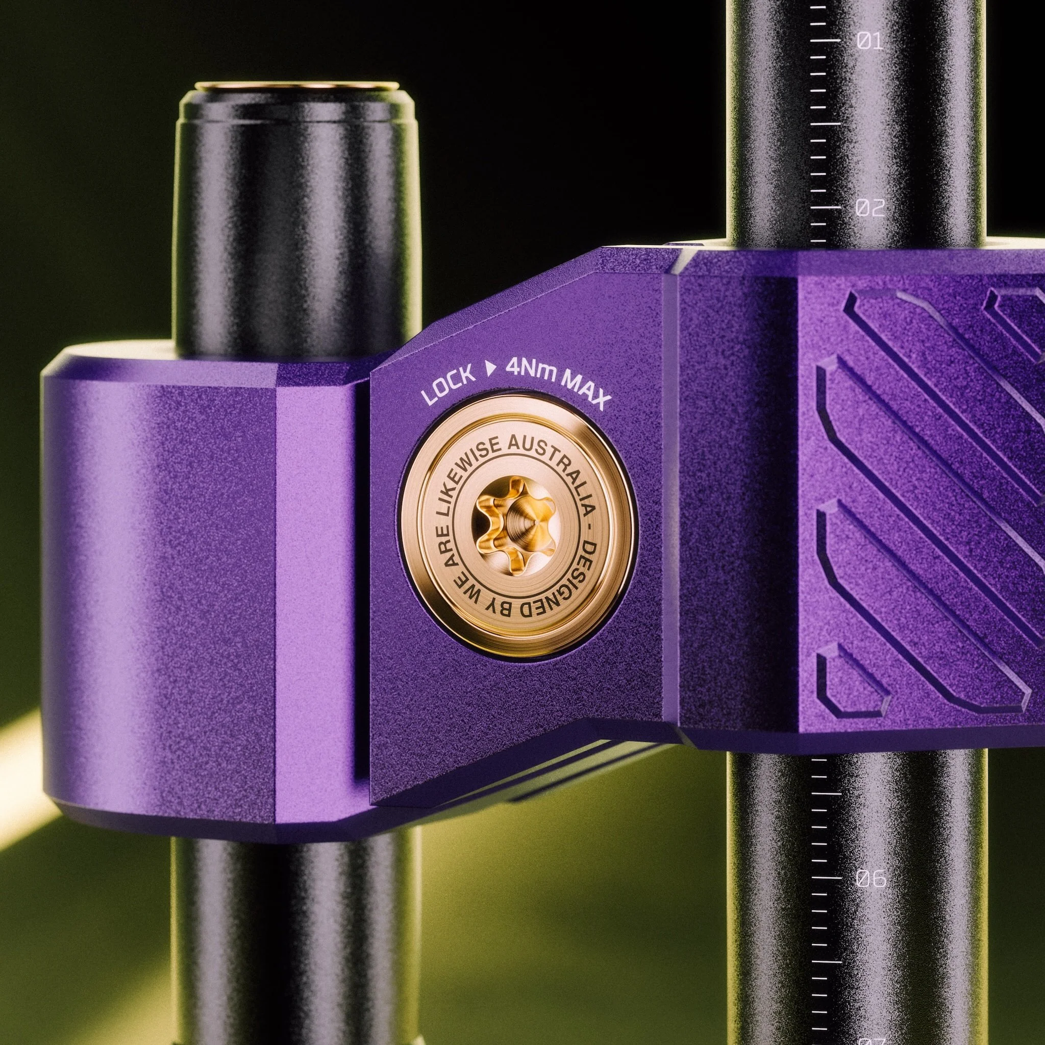 The Evolution - Image 3